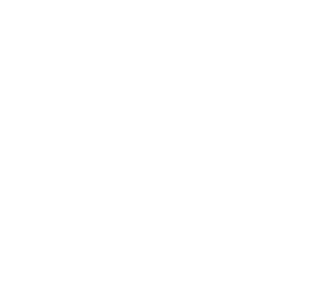 TS PICKUPS logo